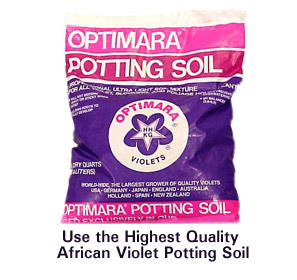 African Violet Potting Soil