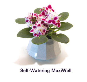 Optimara Self-Watering Pot