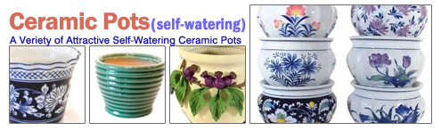 Self-Watering Ceramic Pots